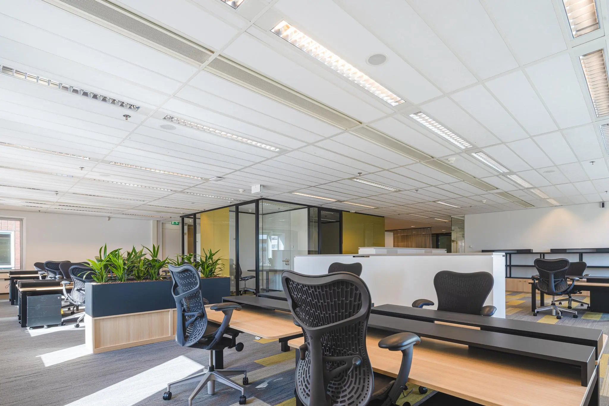 Moderne en lichte kantooruimte aan de Prinses Beatrixlaan met open werkplekken, ergonomische bureaustoelen en plantenbakken.